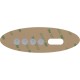 Overlay, Balboa Water Group VL240, Blower/Jets/Temp/Light : 11520