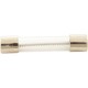 Fuse, Hayward AquaRite, 20A, Glass, Slow Blo, Single : GLX-F20-Single