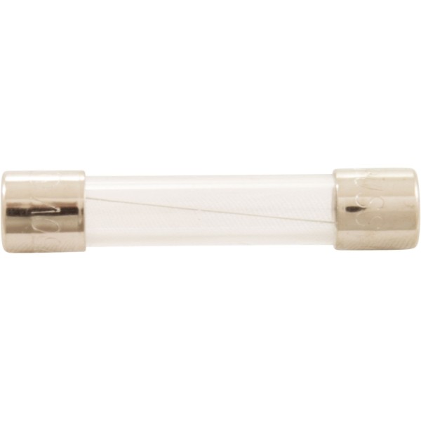 Fuse, 3A, AutoPilot Chlorinator : 15623-3