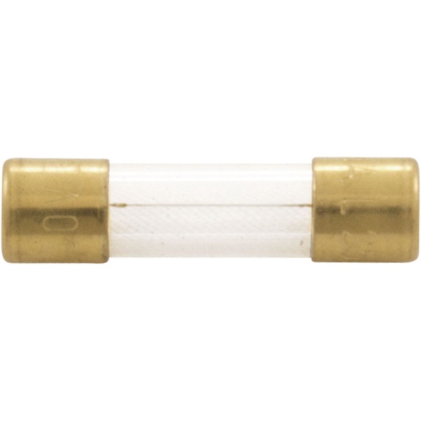 Fuse, Maytronics Dolphin, Slow Blow, 2.5A : 1930251
