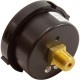 Pressure Gauge, Pentair, 1/4"mpt, 0-60psi, Back Mount : 190059Z