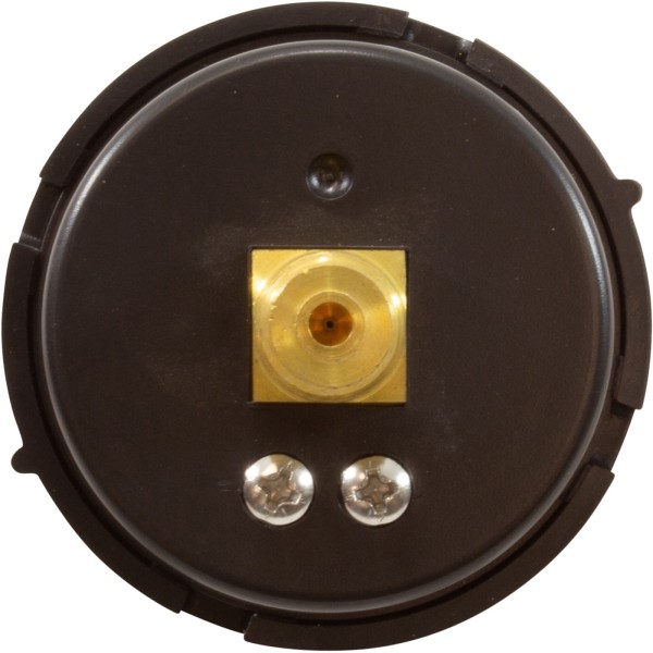 Pressure Gauge, Pentair, 1/4"mpt, 0-60psi, Back Mount : 190059Z