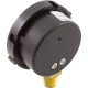 Pressure Gauge, Pentair, 1/4"mpt, 0-60psi, Bottom Mount, Adj Face : 190058Z