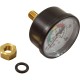 Pressure Gauge KIt, Astral Terra/Cel Cartridge Filter : 4404210303