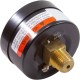 Pressure Gauge, Speck, ACF Cartridge Filter : 7200039349