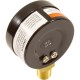 Pressure Gauge, 1/4"mpt, 0-30psi, Bottom Mount, 2"fd, Generic :