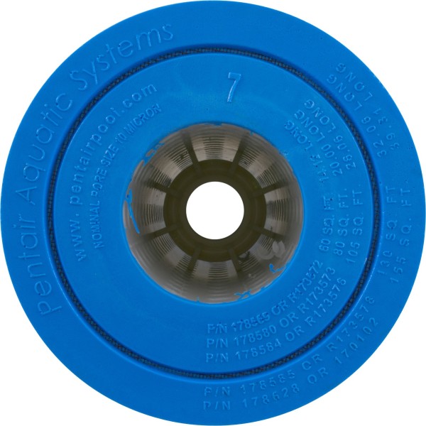 Cartridge, Pentair Clean & Clear Plus, 4 Req, After 11/98, OEM : R173576