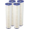 Cartridge 4 Pack, Pentair Clean & Clear Plus 520 : 179136