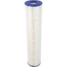 Cartridge 4 Pack, Pentair Clean & Clear Plus 520 : 179136