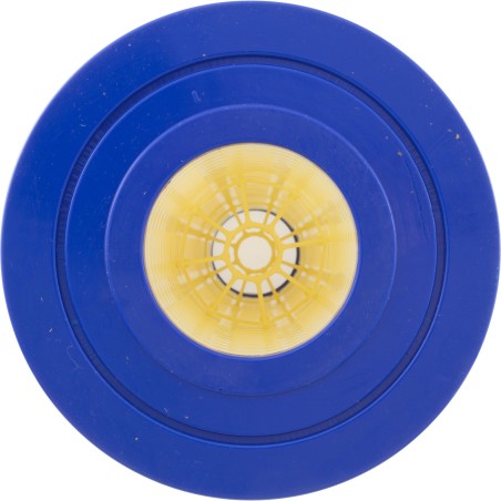 Cartridge 4 Pack, Pentair Clean & Clear Plus 520 : 179136