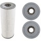 Cartridge, Hayward Swim Clear C7030, 8 Required : CX591XRE