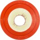 Cartridge, 150sqft, 5-7/8"ot, 6"ob, 10-1/16", 31-3/8"L, 4oz : PAP150
