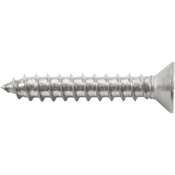 Number 8 X 1" Phil Flat Head Type A 316 S/S Screw : 819-1031