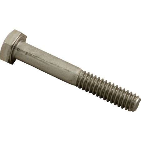 Bolt, Hayward Perflex EC65/75/S160T/S220, 1/4"-20 x 1-3/4" : ECX1642215