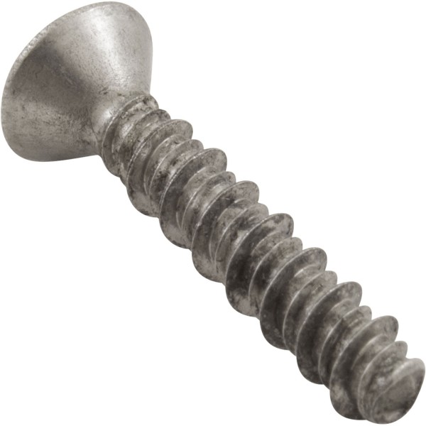 Screw, Pentair Rainbow DSF/Safety Skimmer, 13-16 x 1-1/4" : R172474