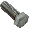 Bolt, Pentair Sta-Rite, 3/8-16 x 1" : U30-74SS