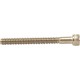 Screw, Pentair Purex IntelliFlo/Whisperflo, 4-40 x 1/18" : 071660Z