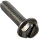 Screw, Pent Am Prod Maxim, Americana II, 10-24 x 7/8" : 98215400