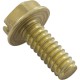 Screw, Pentair American Products, 10-24 x 1/2" : 98215100