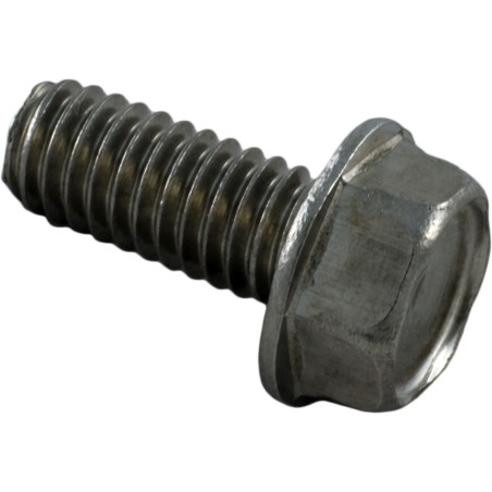 Bolt, Pentair PacFab, Challenger/Waterfall, 5/16-18 : 354265