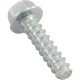 Screw, Hayward Max-Flo/Super Pump/Northstar, Pump Stand, qty 2 : SPX1600Z52
