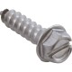 Screw, Waterway SVL56/Champion, Pump Stand, 2 required : 819-0013