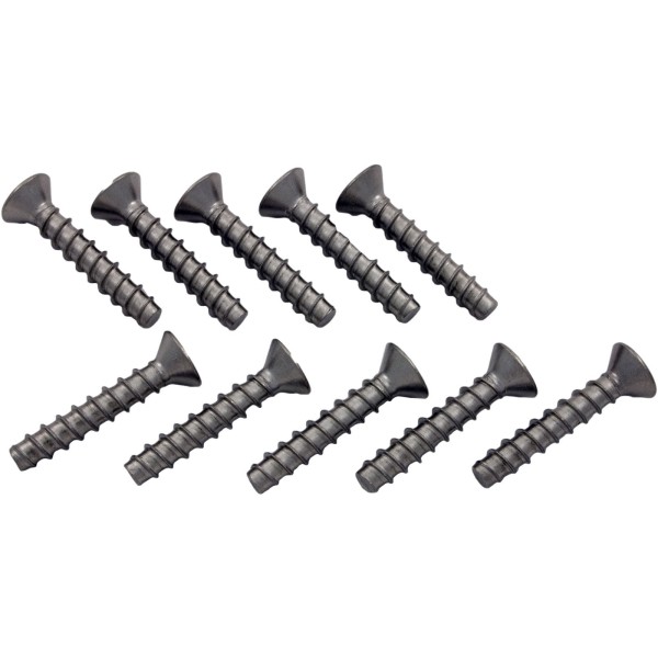 Screw Kit, Hayward SP1094 Skimmer, Faceplate : SPX1030Z1C