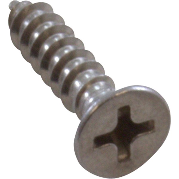 Screw, Pentair PacFab Dual Bottom, Grate, 8 x 3/4" : 552538