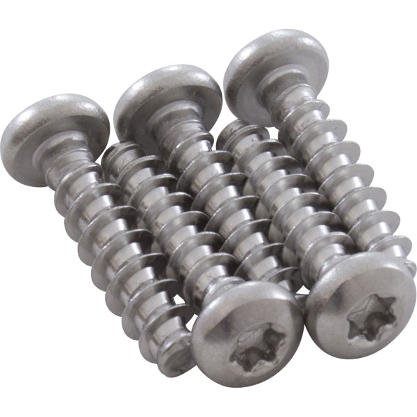 Screw, Handle Assy, Hayward SV/SVXL/TS, M5x20mm T-20, Pan, qty 5 : RCX12011