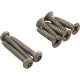 Screw Kit, Paramount SDX Drain, Vinyl/Fiberglass, Quantity 8 : 005-252-0811-00