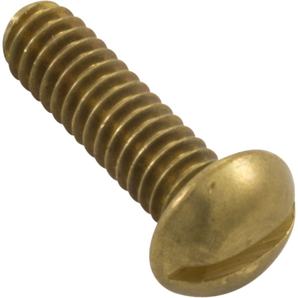Screw, 1/4"-20 x 1", Pan, Slot, SS :