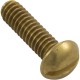 Screw, 1/4"-20 x 1", Pan, Slot, SS :