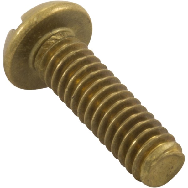 Screw, 1/4"-20 x 1", Pan, Slot, SS :