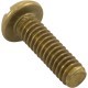 Screw, 1/4"-20 x 1", Pan, Slot, SS :