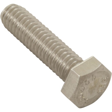 Bolt, 5/16"-18 x 1-3/8", SS :