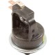 Pressure Switch 4015P, 25A, Tecmark, 1/8"mpt, SPDT, Plastic : 4015P