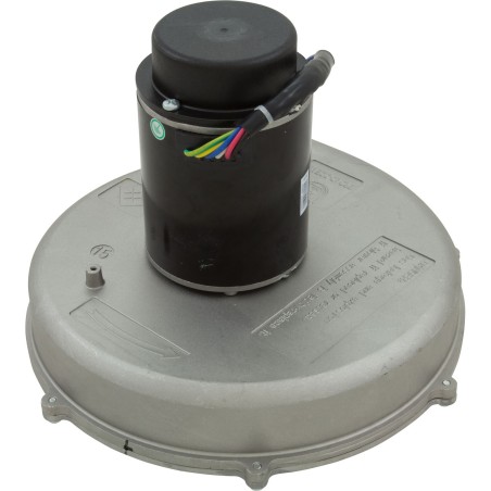 Blower Kit, Pentair MasterTemp 400/Max-E-Therm 400, Nat. : 77707-0253