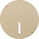 Jandy Pro Series Lid And Collar, Pebble Laminar Jet : JLPBBL