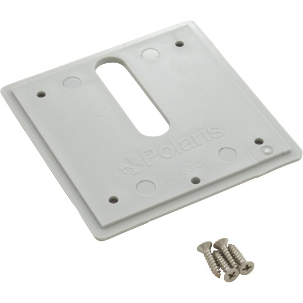 Jandy Pro Series Minijet Cover Plate, Screws, Dove Gray : MJ6320
