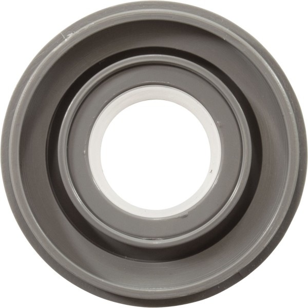 Gunite Whirlpool Jet (Non-Adj) Gray : 25583-001-000