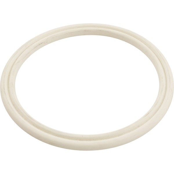 Sundance Intellijet Dbl O-Ring Body Gasket/Seal : 6540-524