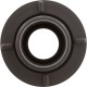Gunite Whirlpool Jet (Non-Adj) Dark Gray : 25583-007-000