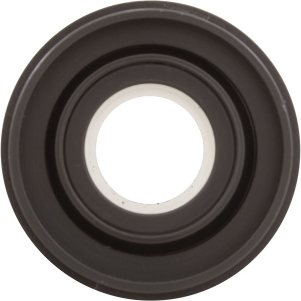 Gunite Whirlpool Jet (Non-Adj) Dark Gray : 25583-007-000