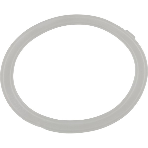 Gasket, Waterway Poly Jet Wall Fitting, Thin : 711-1750