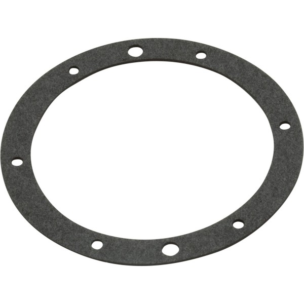 Gasket Set, Pentair, Small SS Niche, Dbl Wall, 8-Hole, 3 Pk : 79204603