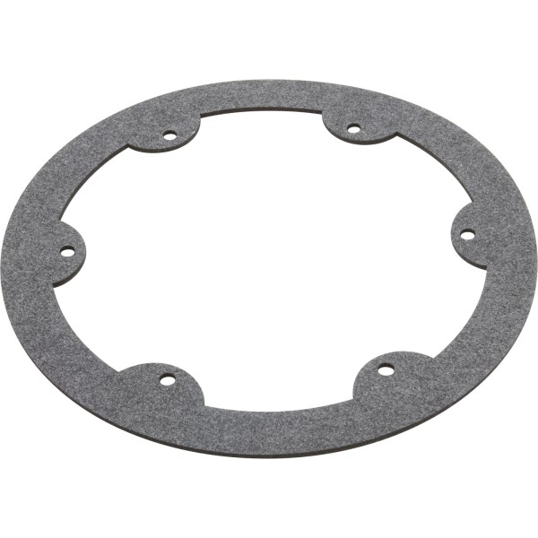 Gasket, Hayward Astrolite II, Light Face Ring : SPX0608G