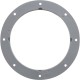 Lock Ring, Pentair Colorvision Bubbler, Vinyl/Fbg, Gray : 590131Z