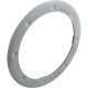 Color Ring, Pentair Colorvision Bubbler, Gray : 590127Z