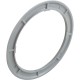 Color Ring, Pentair Colorvision Bubbler, Gray : 590127Z