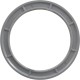 Color Ring, Pentair Colorvision Bubbler, Gray : 590127Z